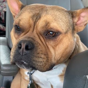 Meet your Posher, Travis